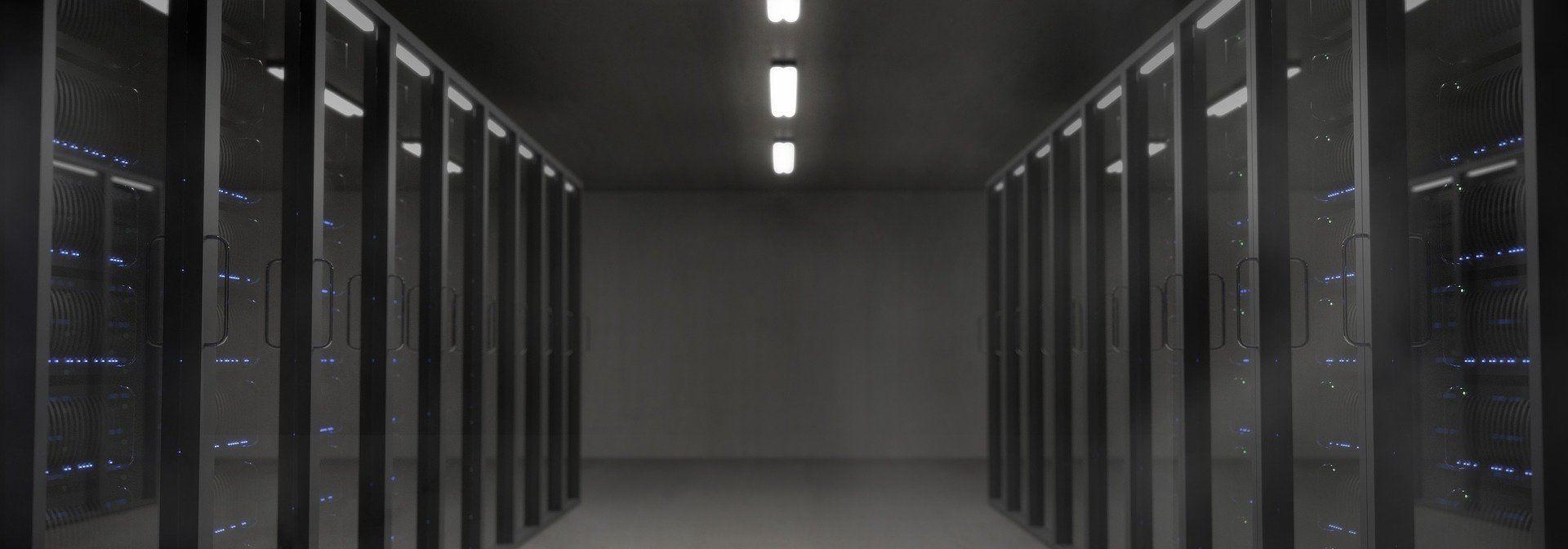 IT-Dienstleistungen 